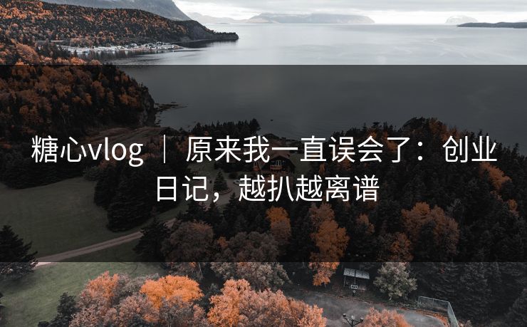 糖心vlog | 原来我一直误会了:创业日记,越扒越离谱
