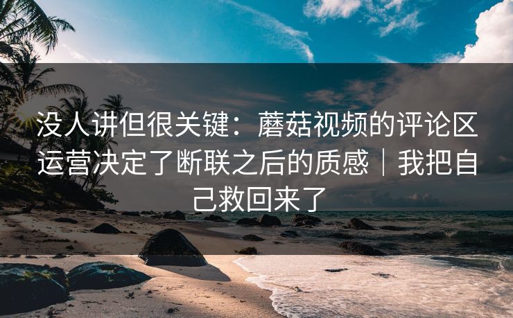没人讲但很关键：蘑菇视频的评论区运营决定了断联之后的质感｜我把自己救回来了