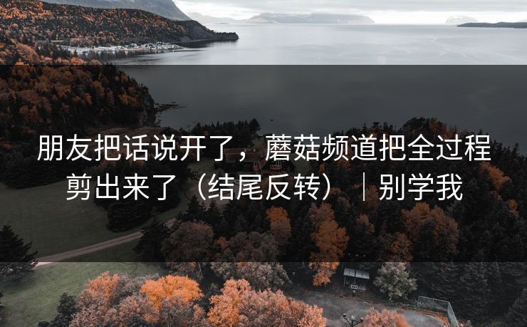 朋友把话说开了，蘑菇频道把全过程剪出来了（结尾反转）｜别学我