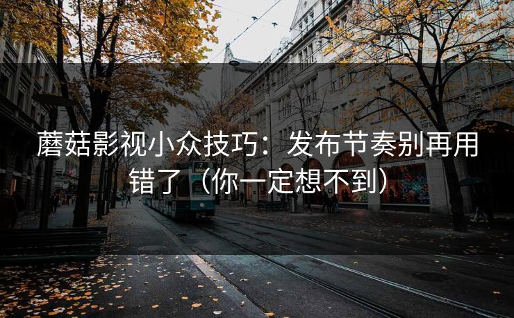 蘑菇影视小众技巧：发布节奏别再用错了（你一定想不到）