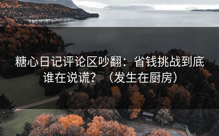 糖心日记评论区吵翻：省钱挑战到底谁在说谎？（发生在厨房）