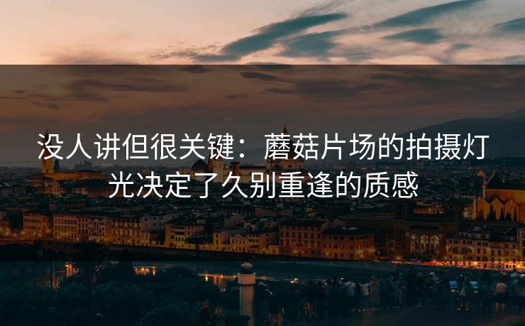 没人讲但很关键：蘑菇片场的拍摄灯光决定了久别重逢的质感