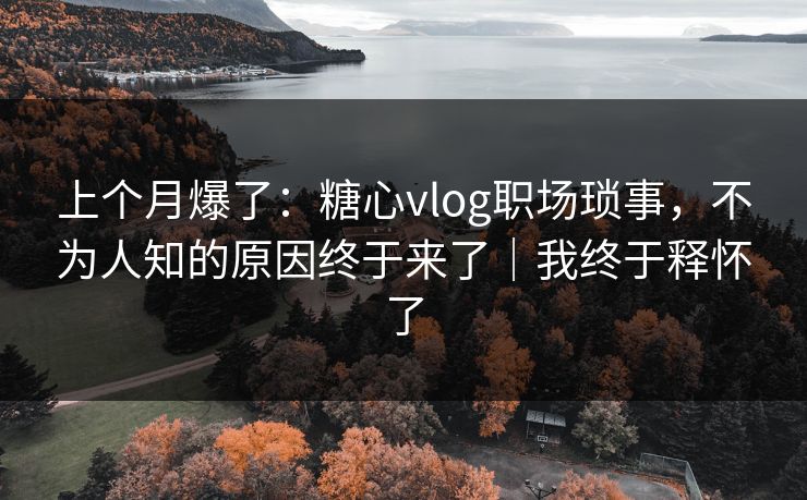 上个月爆了：糖心vlog职场琐事，不为人知的原因终于来了｜我终于释怀了