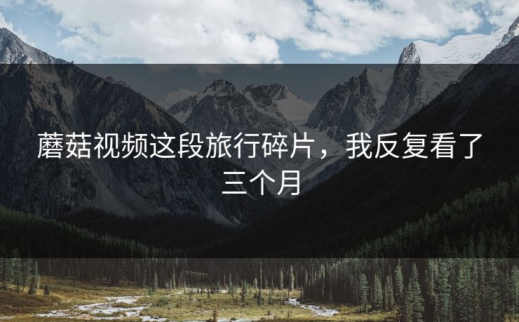 蘑菇视频这段旅行碎片，我反复看了三个月