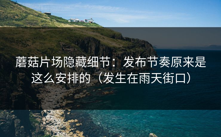 蘑菇片场隐藏细节：发布节奏原来是这么安排的（发生在雨天街口）