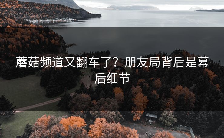 蘑菇频道又翻车了？朋友局背后是幕后细节