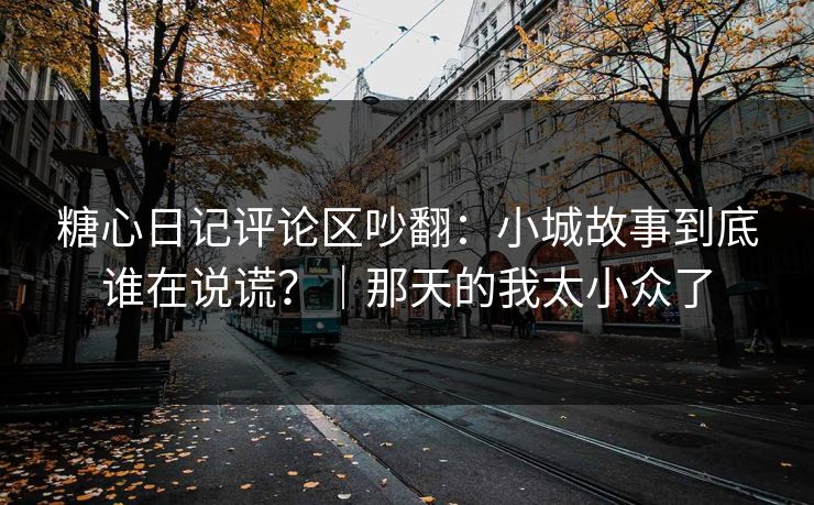 糖心日记评论区吵翻:小城故事到底谁在说谎?|那天的我太小众了