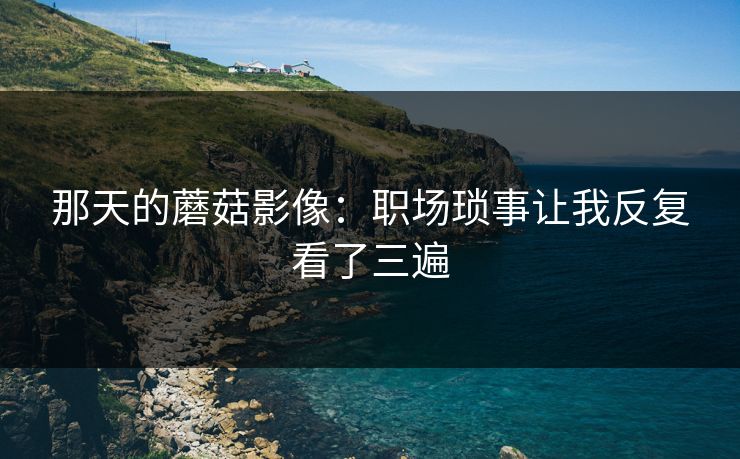 那天的蘑菇影像：职场琐事让我反复看了三遍